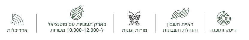אופציות תעסוקה