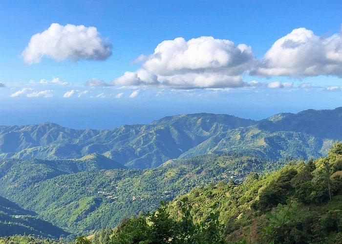 The Ultimate Kingston, Jamaica Travel Guide for 2026