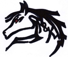 CompGoddess Logo