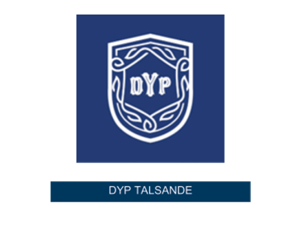 D.Y. Patil College of Engineering