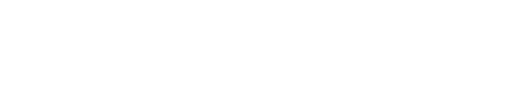 Bondata