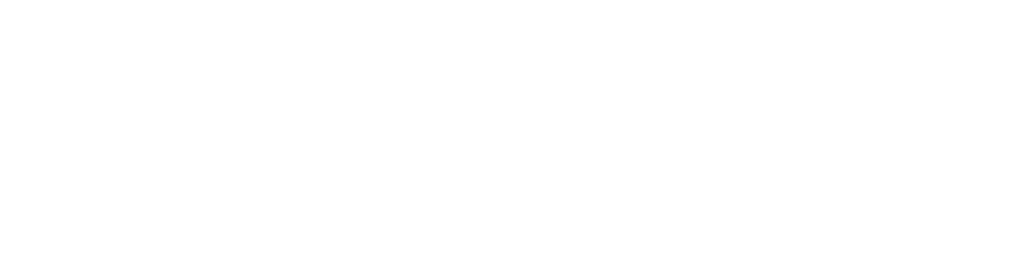 LayerX