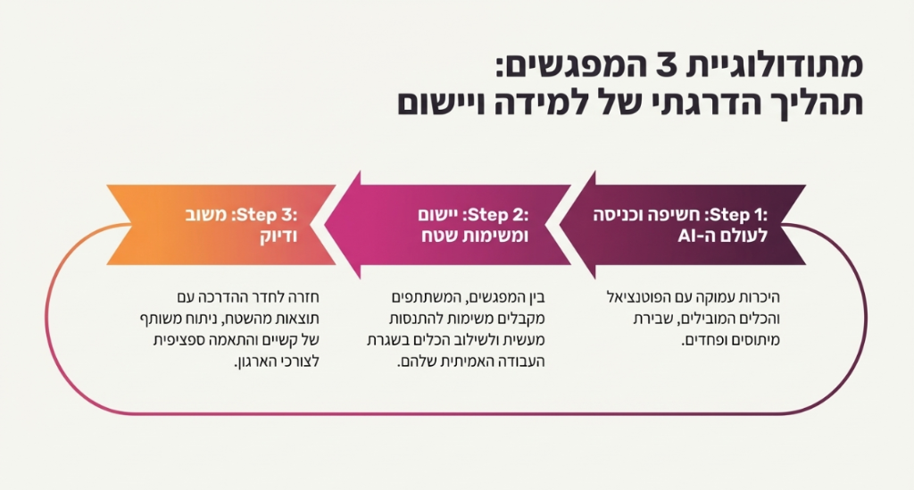 מתודולוגיית 3 המפגשים