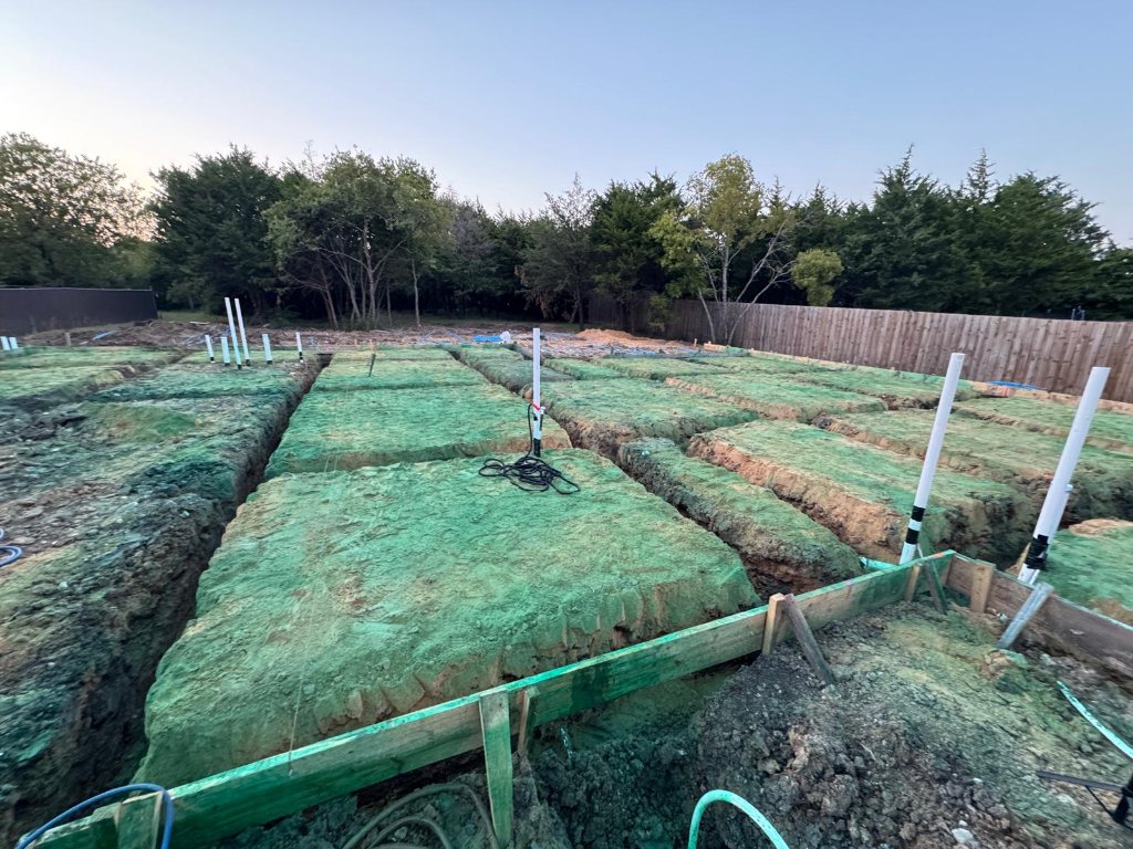 Control de Termitas - EXODO Pest Control work 2