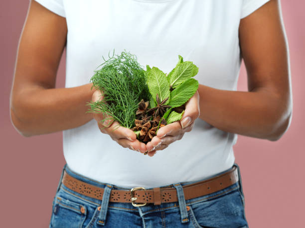 7 Herbs That Help Lower Cortisol & Support Belly Fat Reduction