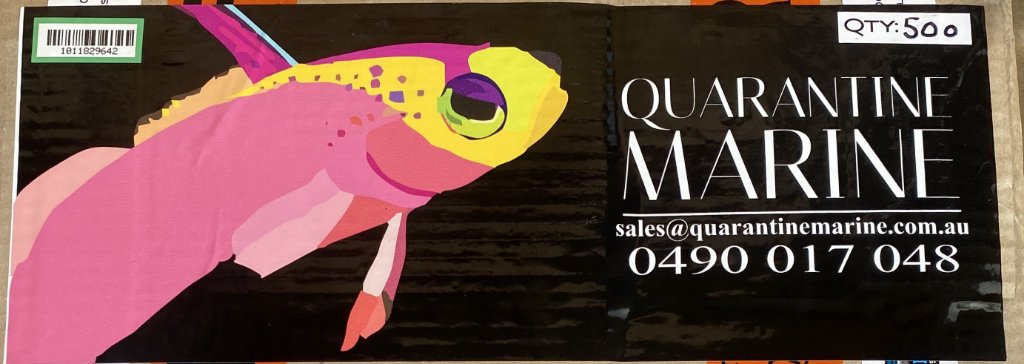 Quarantine Marine - Promotional Stickers