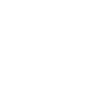 Reach Cause Logo