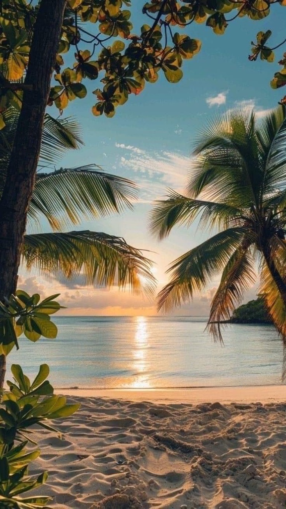 Dawn Patrol 13