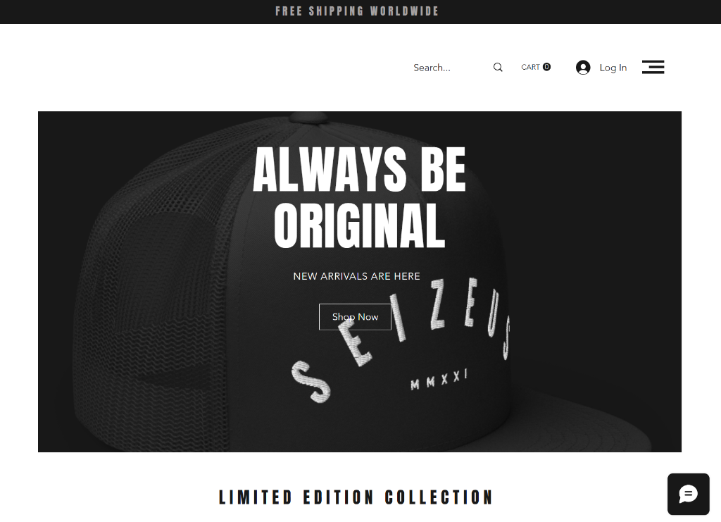 Website and brand design example for Seize Us Apparel
