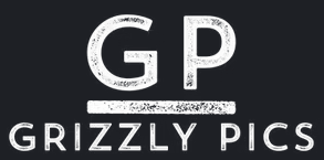 Grizzly Pics Logo