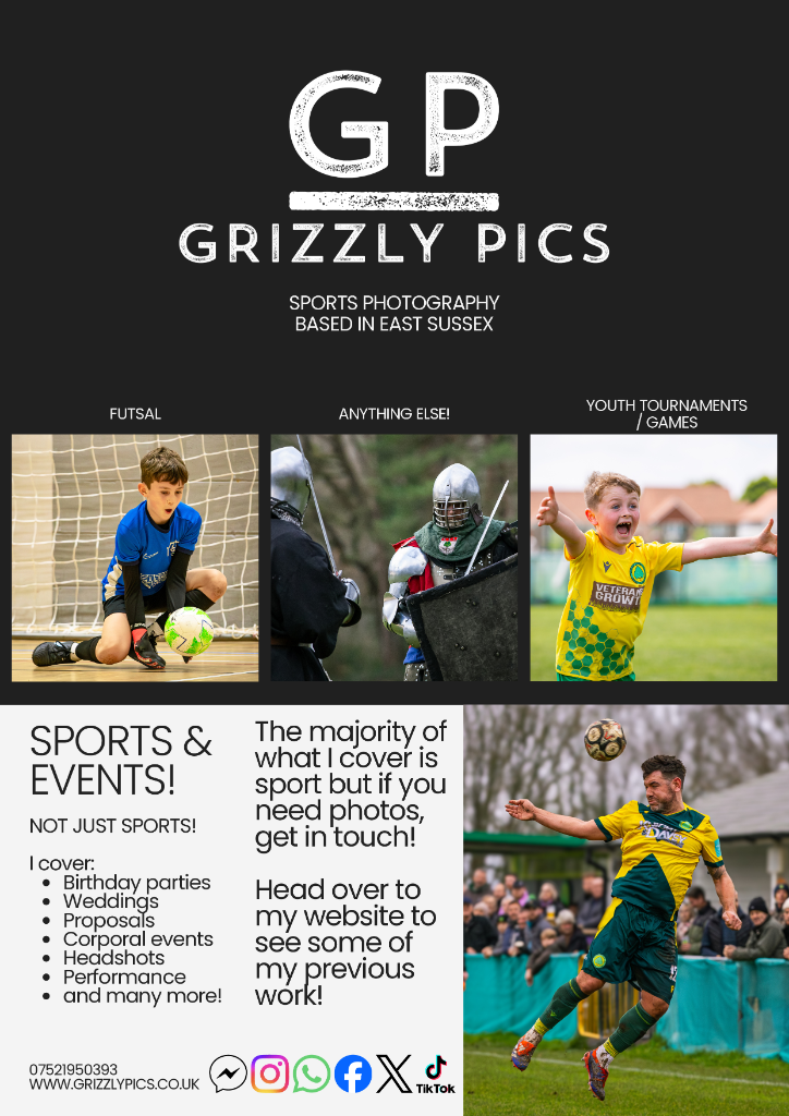Grizzly Pics Promo Flyer