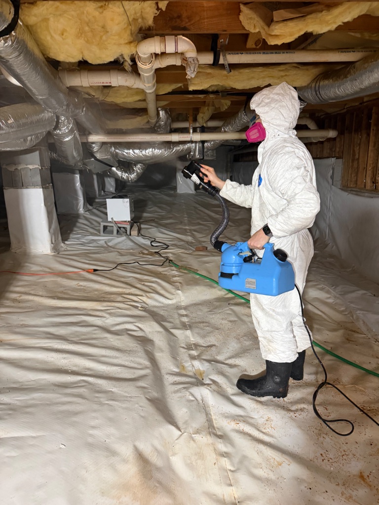 Crawl space mold remediation — fogging treatment