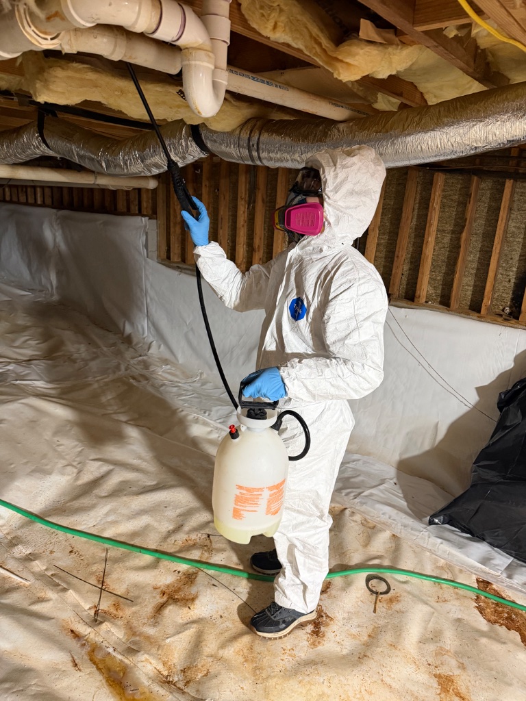 Crawl space mold treatment — chemical spray application