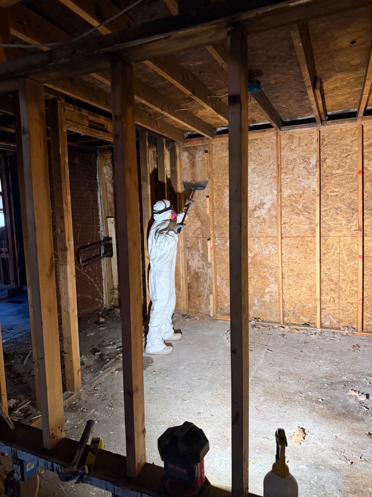 Demolition and remediation job in progress