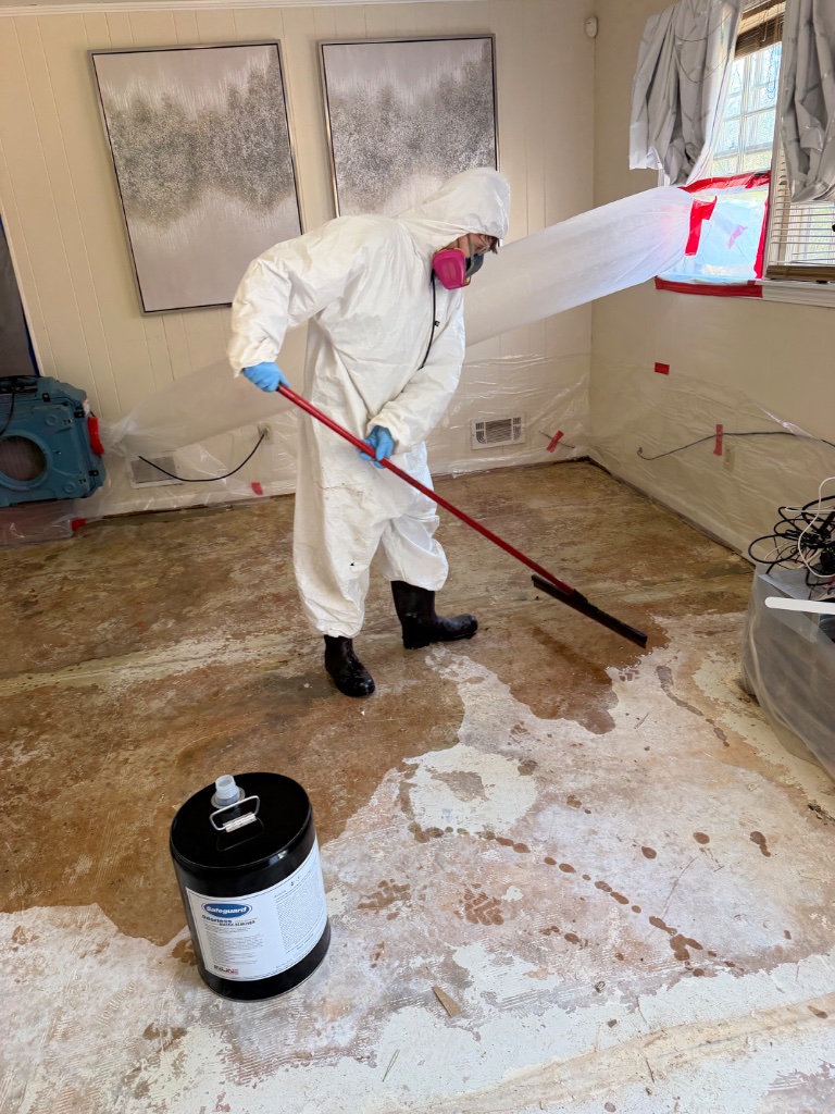 Mold remediation — antifungal floor treatment