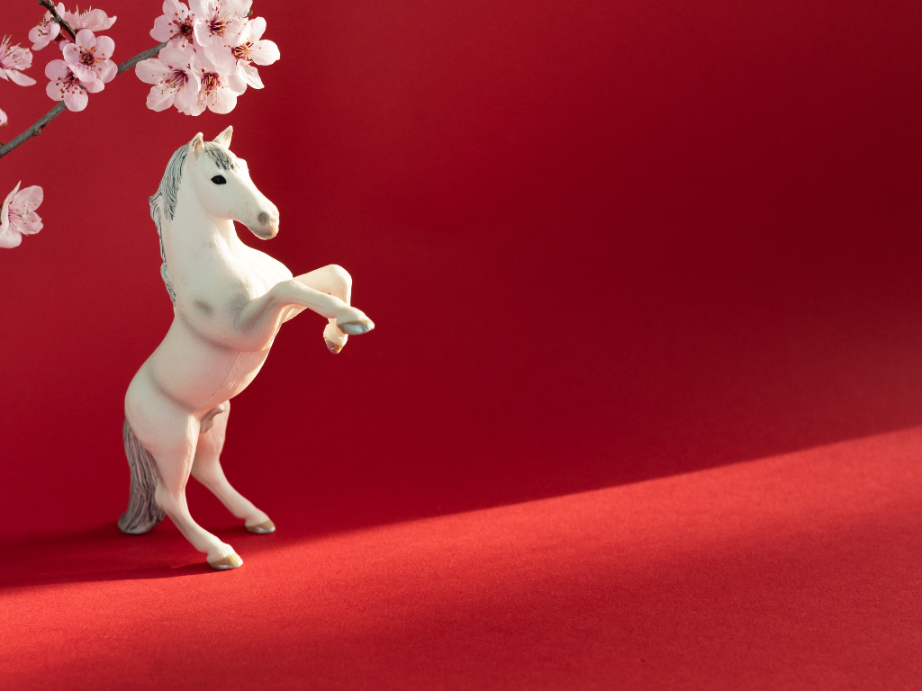 Year of the Horse