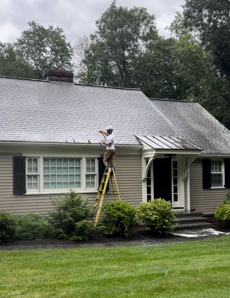 Soft wash roof cleaning service removing algae and moss from residential roof