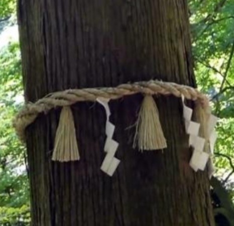Shimenawa – sacred ropes