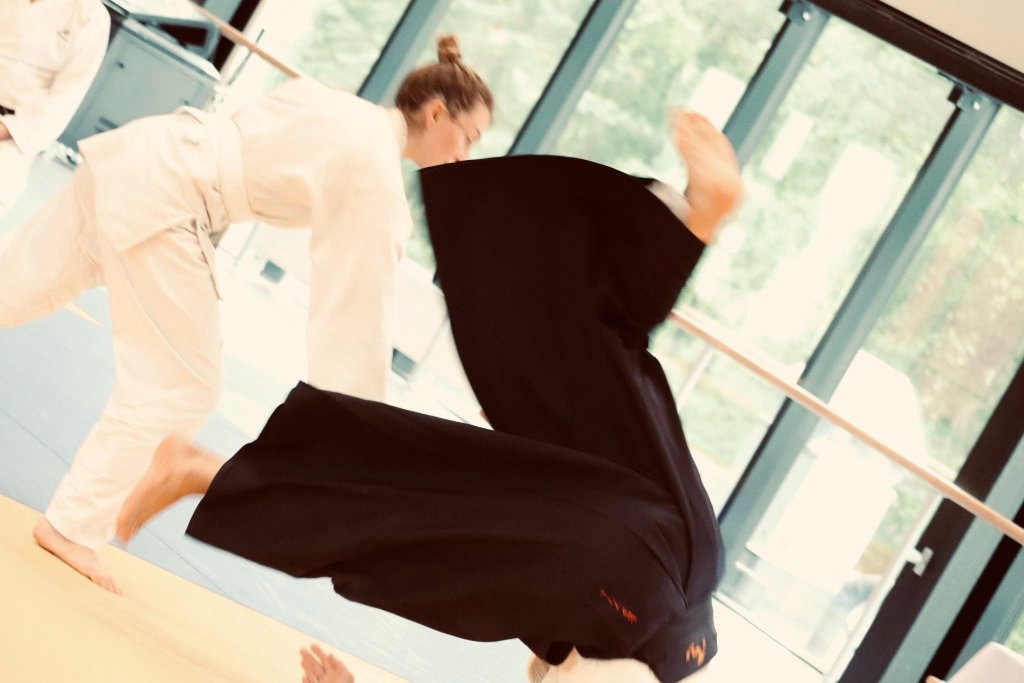 Private Aikido Lesson