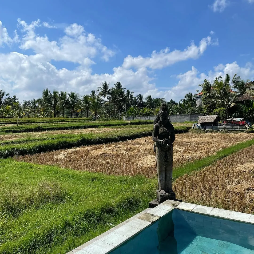 7-Day Solo Traveler's Yoga Retreat - photo 3