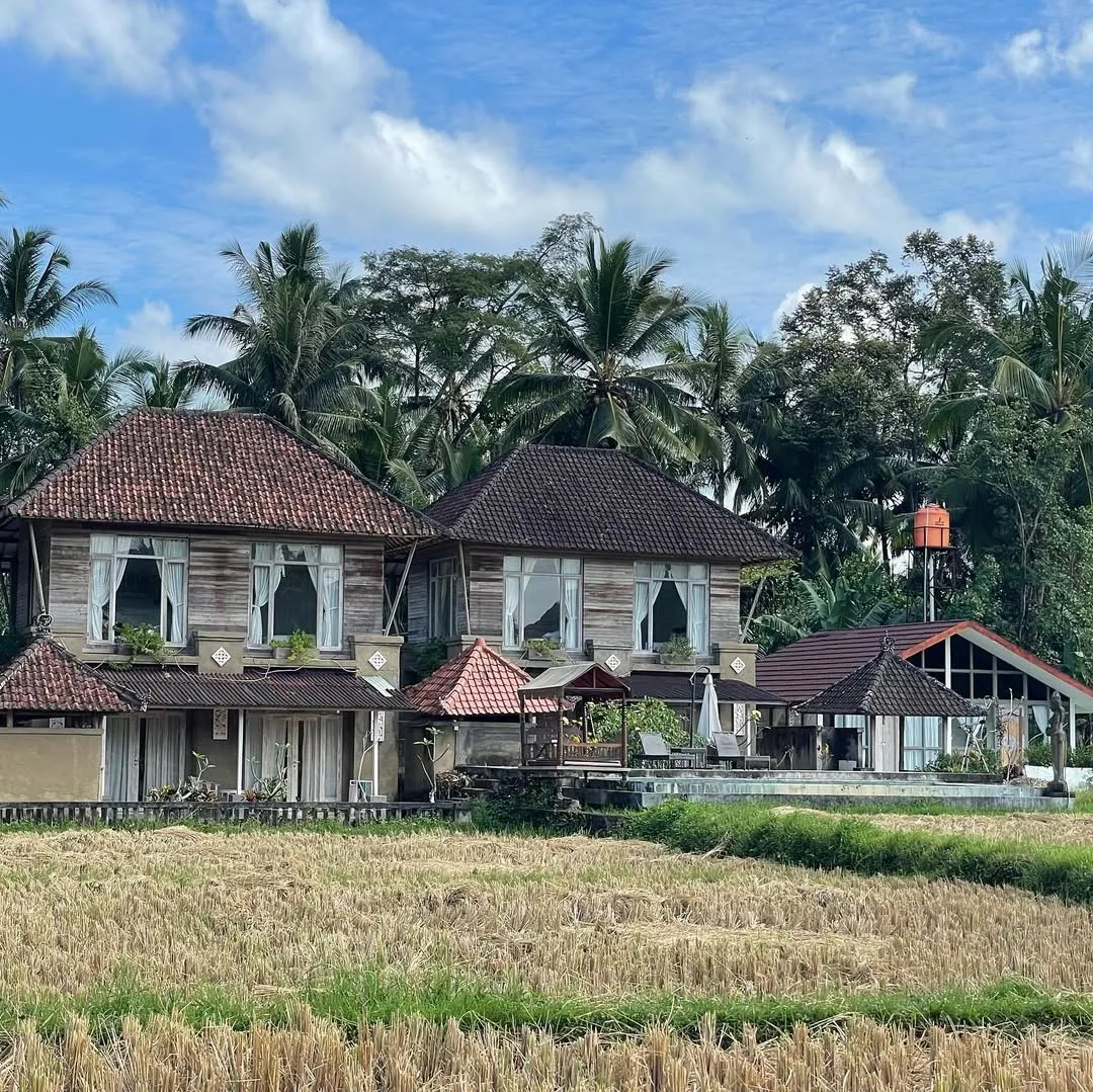 7-Day Solo Traveler's Yoga Retreat photo 4