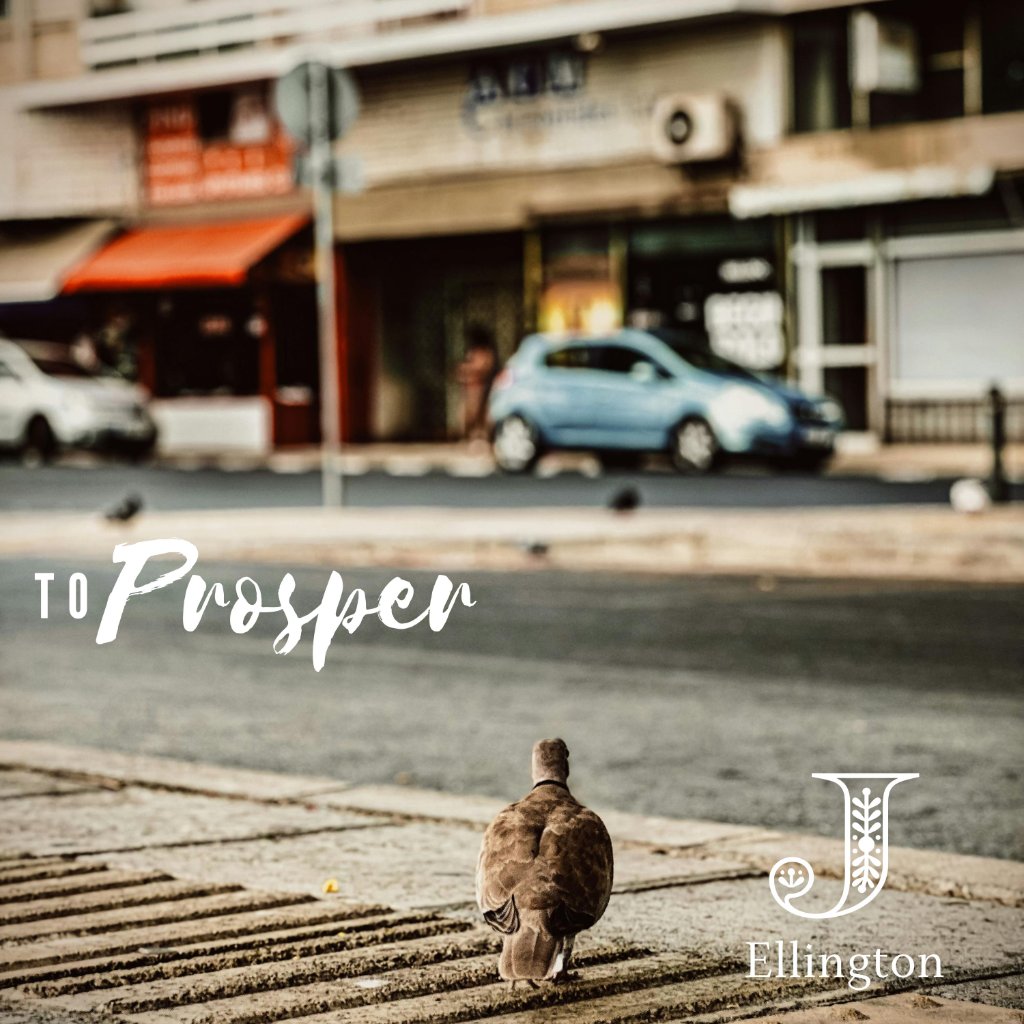 To Prosper