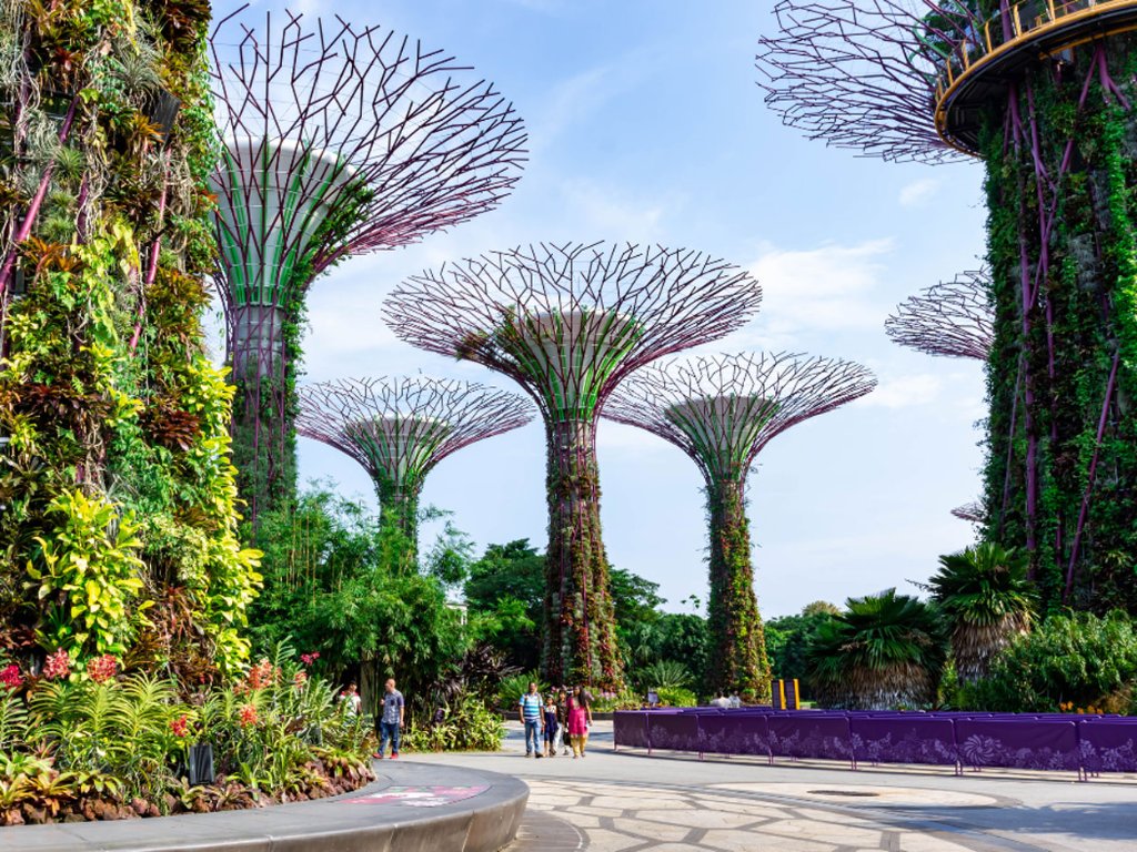 Gardens by the Bay & Supertree Grove Experience