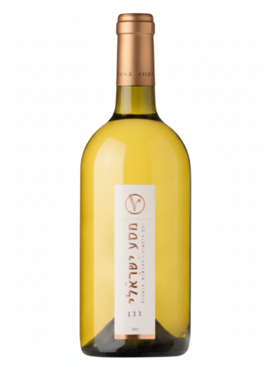 Israeli White Wine