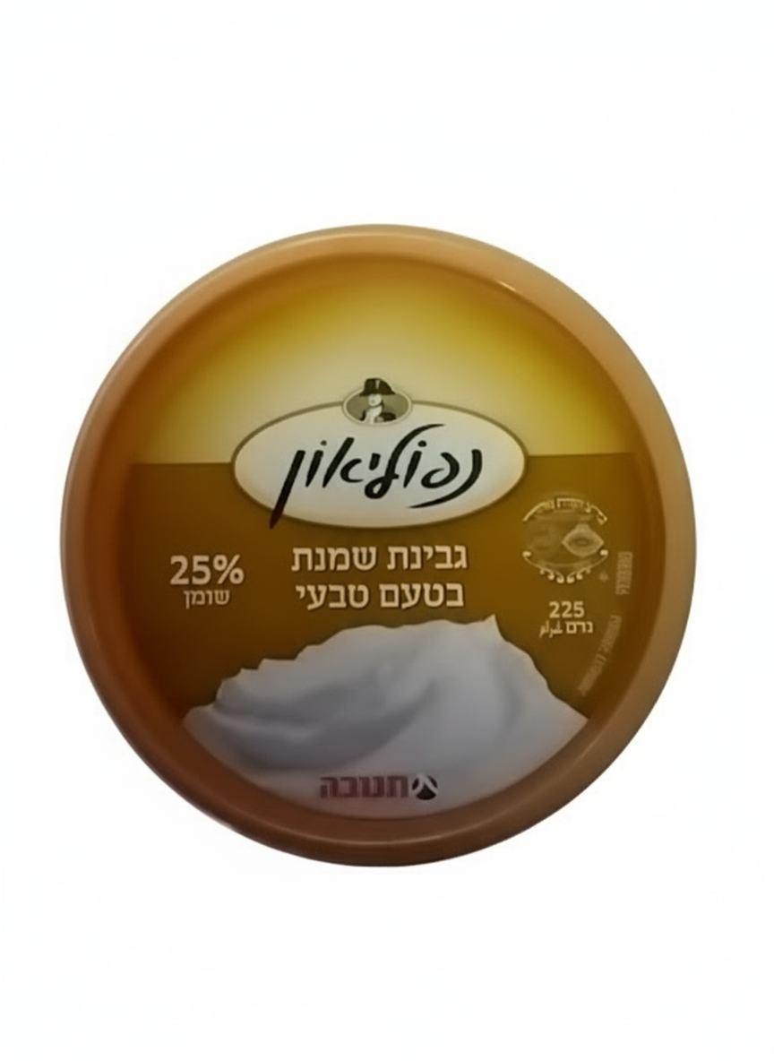 Napoleon Cream Cheese 25%