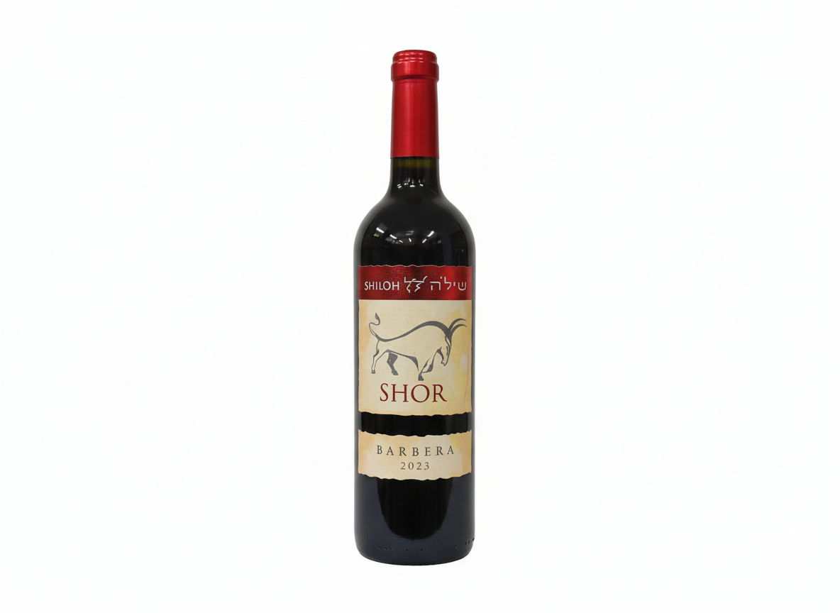 SHILOH Shor Barbera