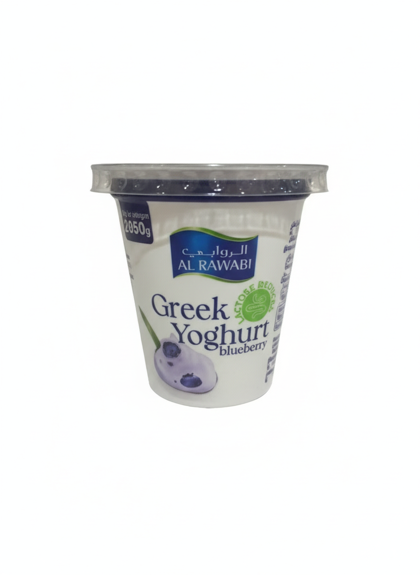 Greek Yoghurt Blueberry