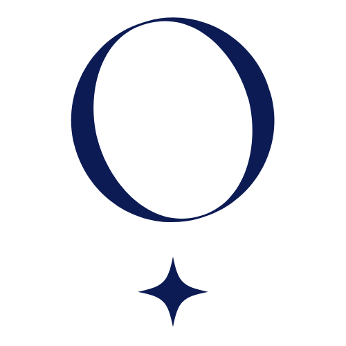 Noam Jewels B2B logo