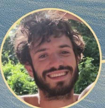 תומר רביב