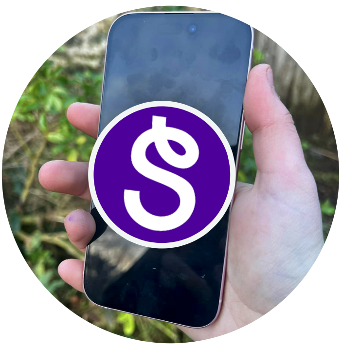 Seesaw App