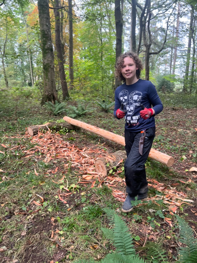 Forest site moment 5