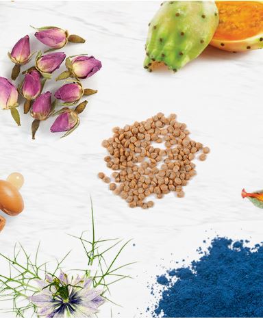 Extraits de Plantes
