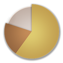 Growth Strategy