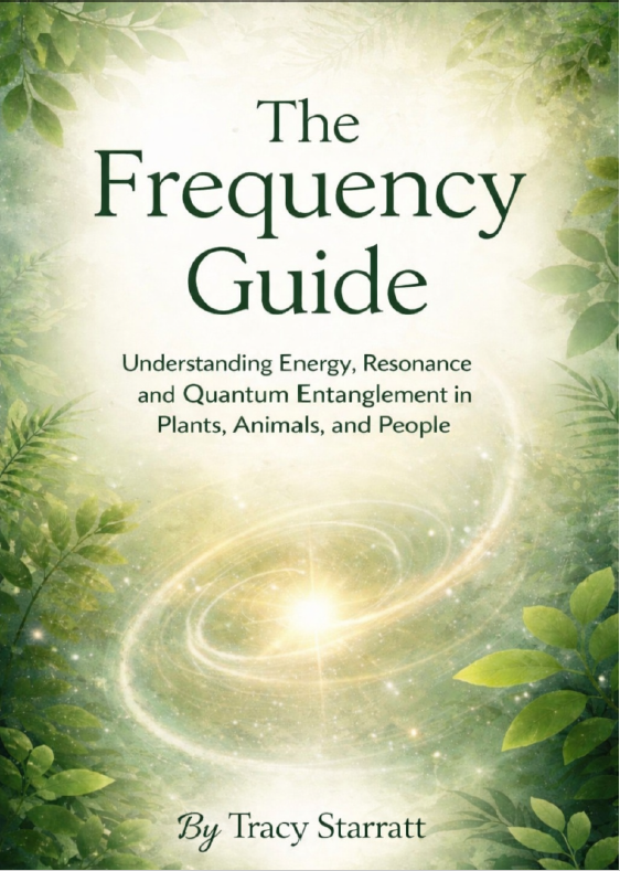 The Frequency Guide
