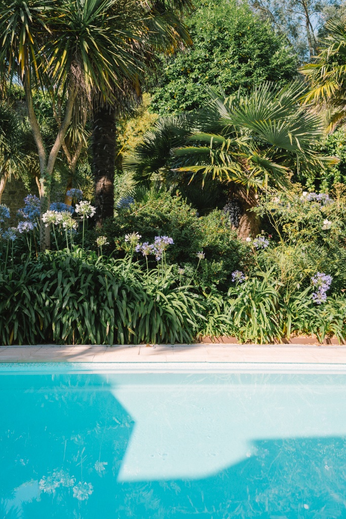 Piscine Aigue Marine - vue ensoleillée sur l'eau