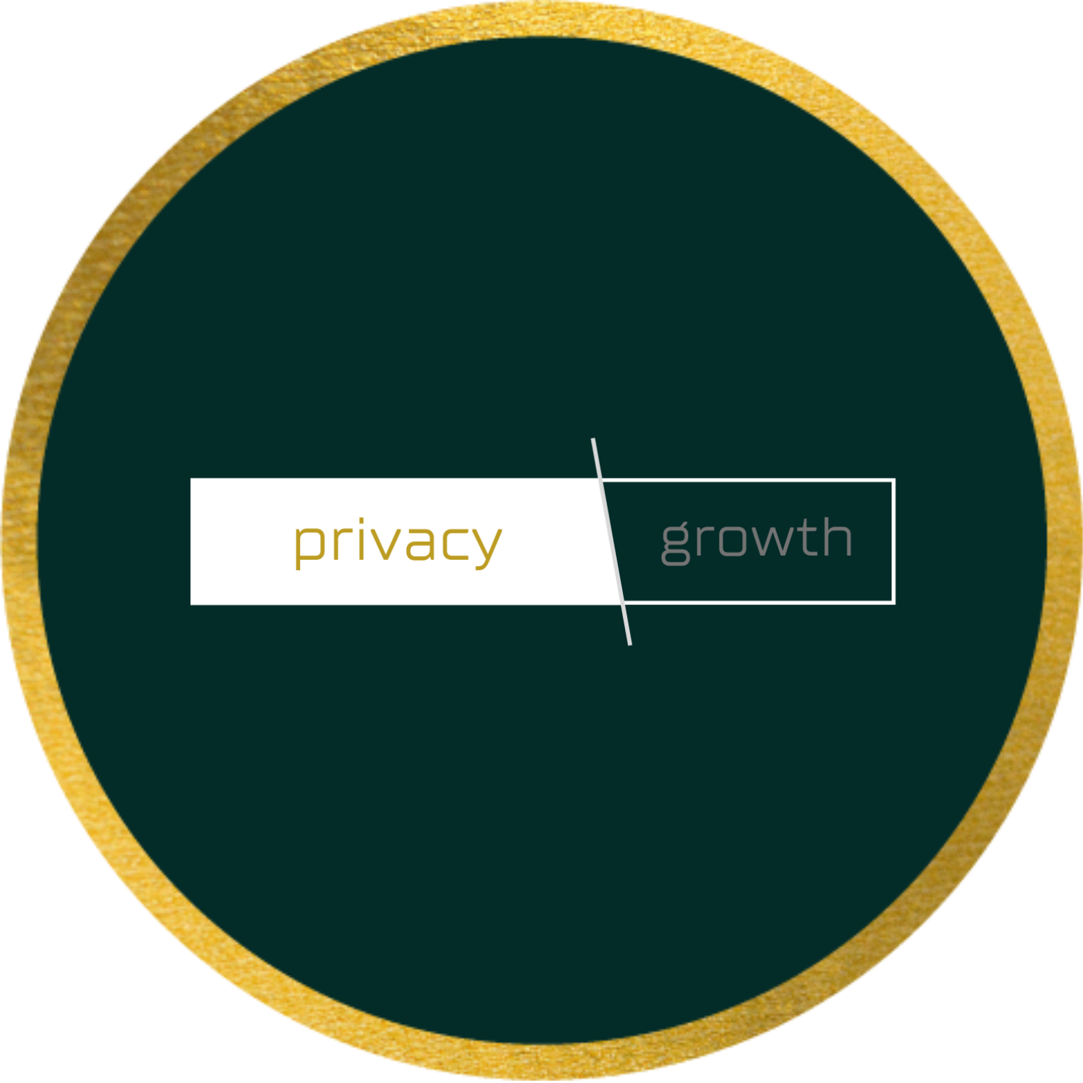 Shield-IQ Privacy Growth logo
