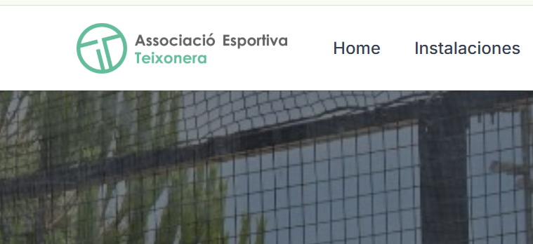 ae teixonera template preview