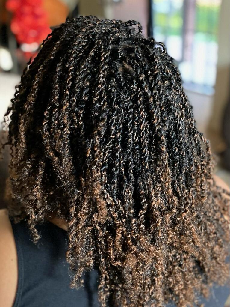 Mini twists with extensions