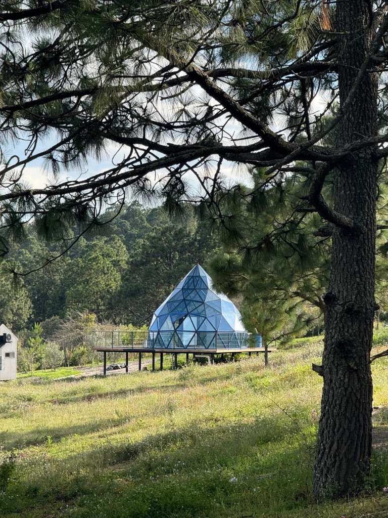 Domo geodésico