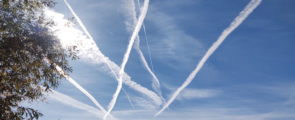 The Ultimate Guide to Heavy Metal Detoxification - detox article about toxin-free living