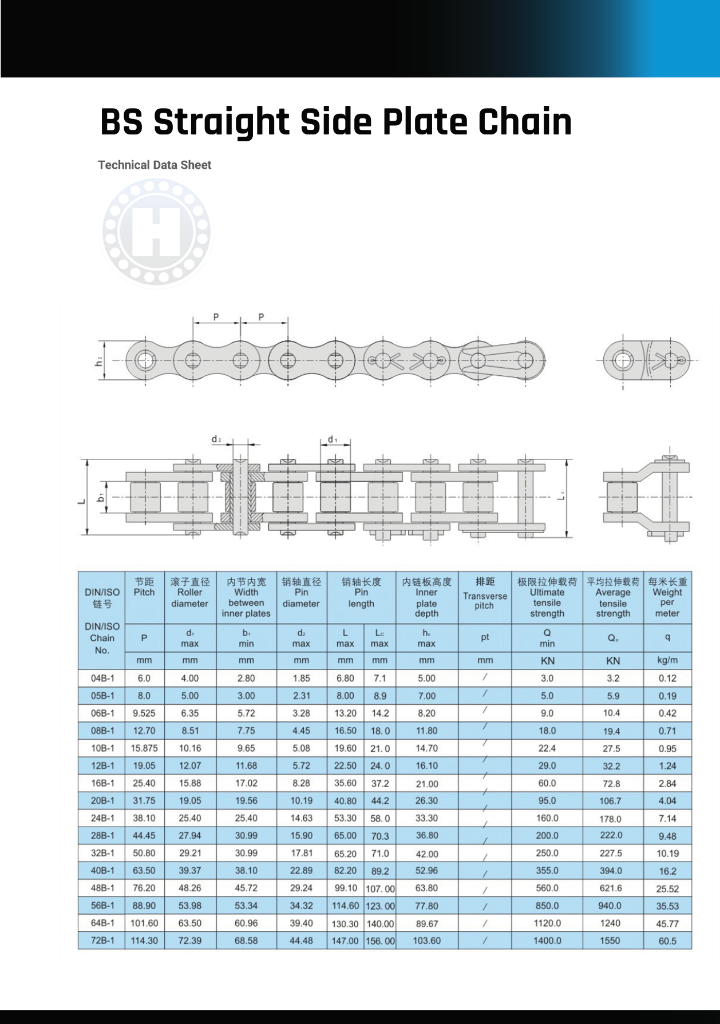 ANSI Stainless Steel Roller Chain