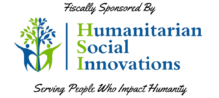 Humanitarian Social Innovations