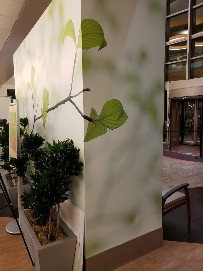 Hospital Mural — Healthcare Wall Wrap