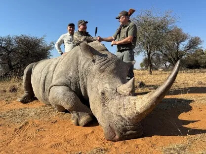 White Rhino