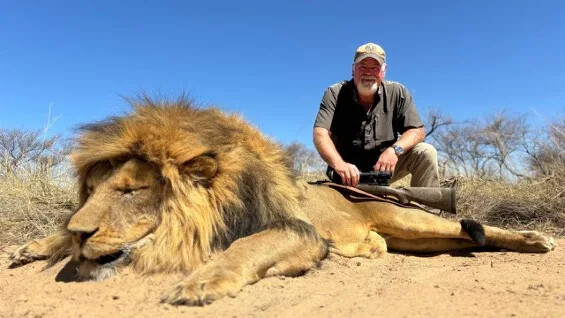 Lion Trophy