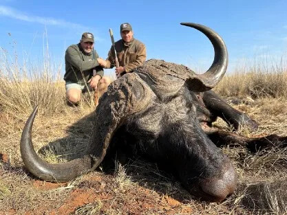 Buffalo Success